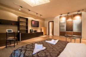 Отель Old Riga Galleria Apartment  Рига